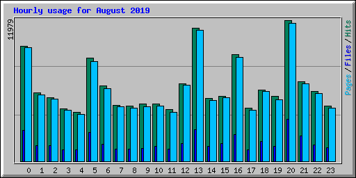 Hourly usage for August 2019