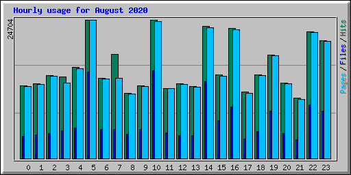 Hourly usage for August 2020