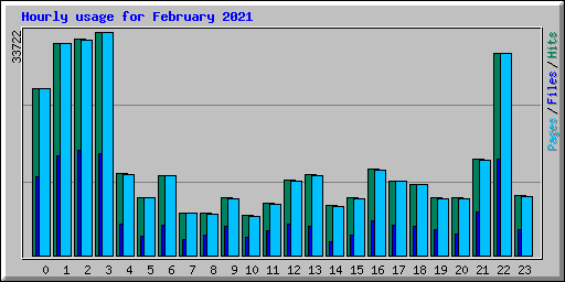 Hourly usage for February 2021