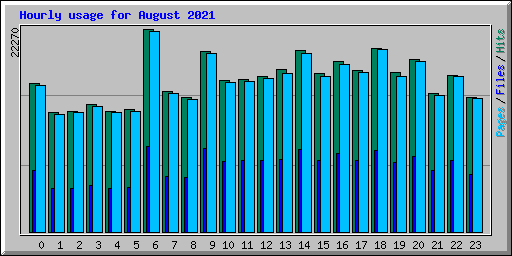 Hourly usage for August 2021