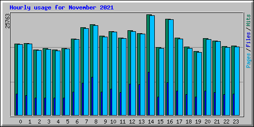 Hourly usage for November 2021