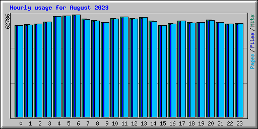 Hourly usage for August 2023