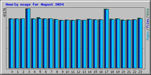 Hourly usage for August 2024