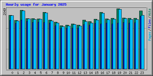 Hourly usage for January 2025