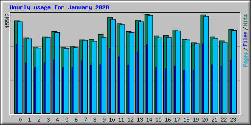 Hourly usage for January 2020