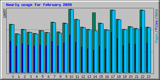 Hourly usage for February 2020