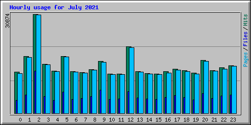 Hourly usage for July 2021