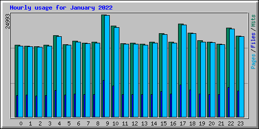 Hourly usage for January 2022