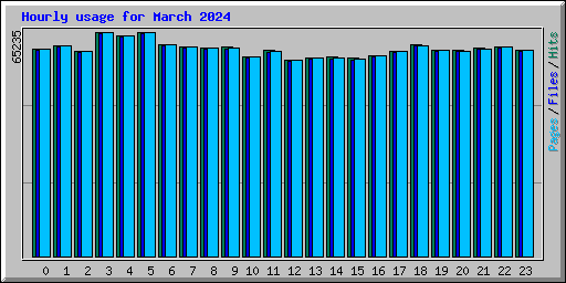 Hourly usage for March 2024