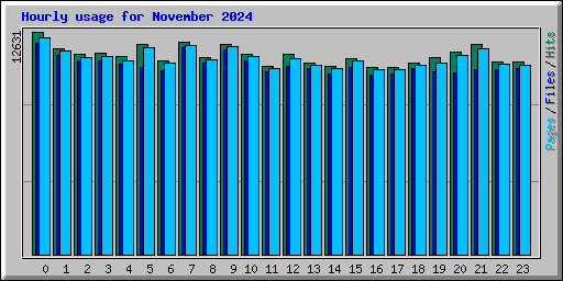 Hourly usage for November 2024