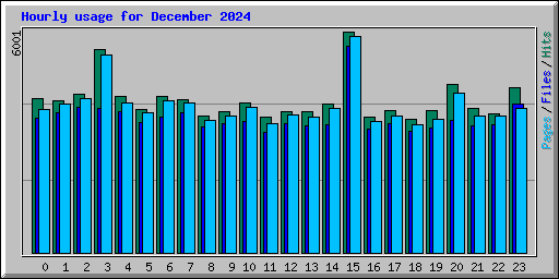 Hourly usage for December 2024